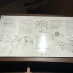 2019_OTRA_0462 (September 01, 2019)